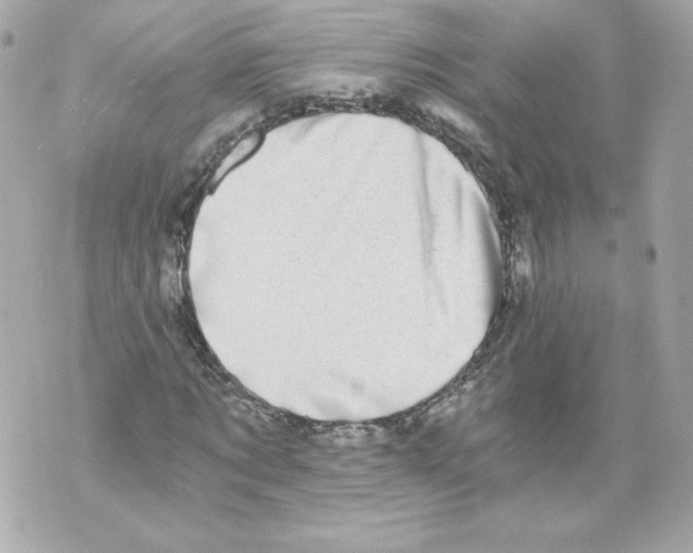 X0000069810869200606161847