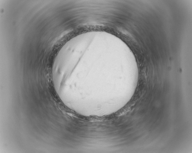 X0000069810870200606161847