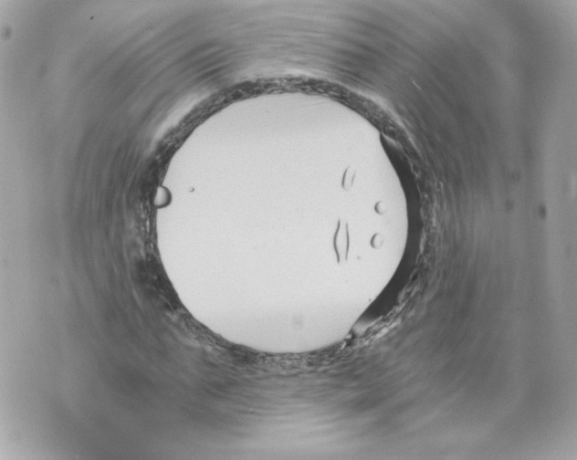 X0000069810871200606161847