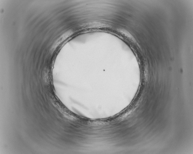 X0000069810873200606161847