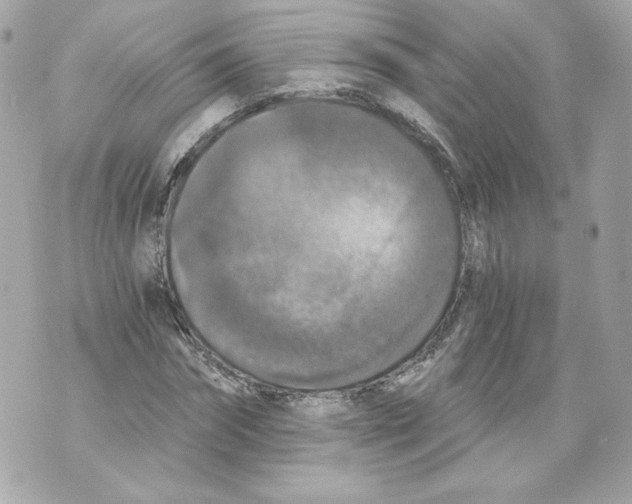 X0000069810874200606161847