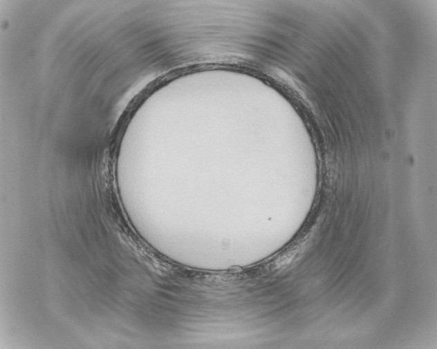 X0000069810875200606161847