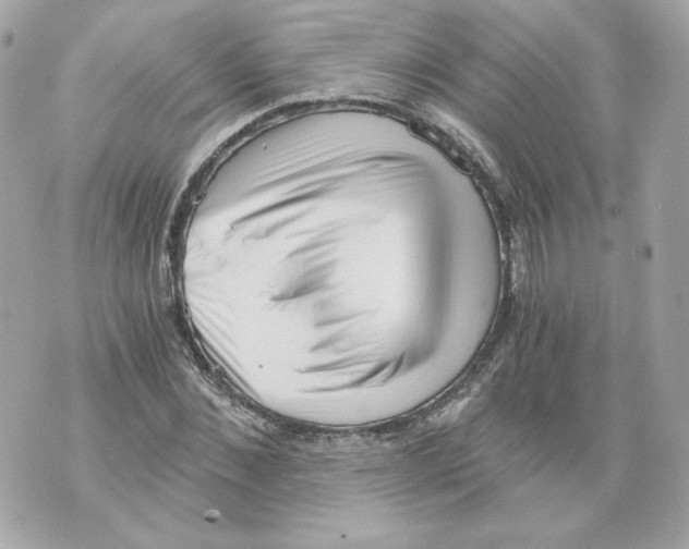 X0000069810876200606161847