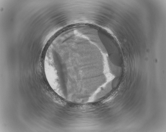 X0000069810879200606161847