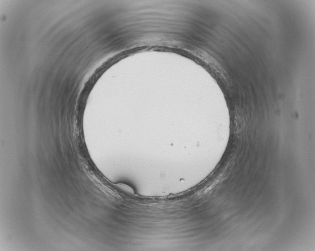 X0000069810880200606161847