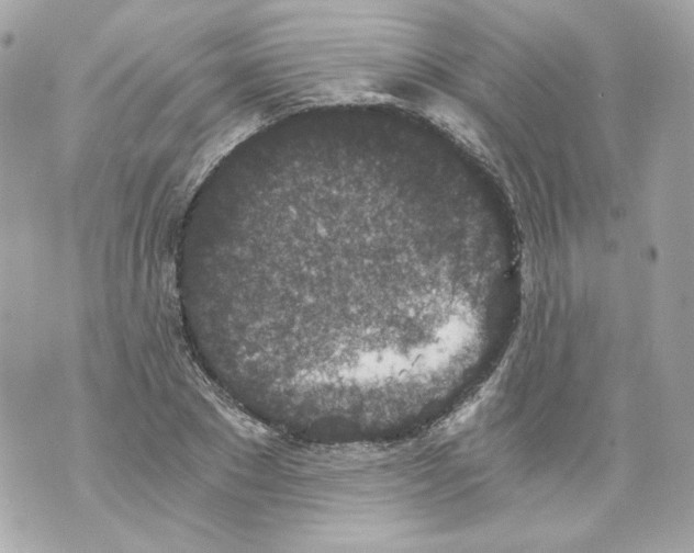 X0000069810881200606161847