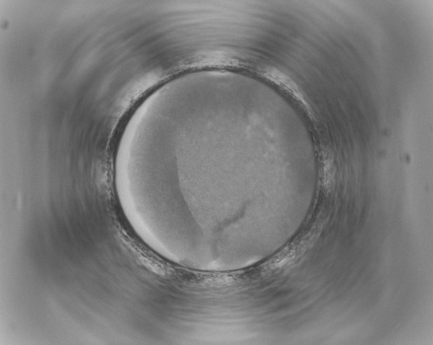 X0000069810882200606161847