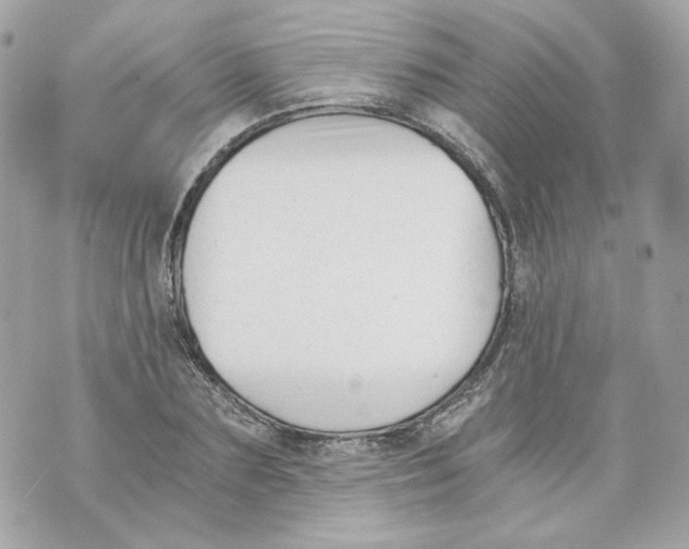 X0000069810883200606161847