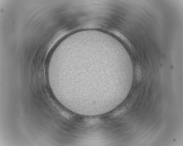 X0000069810886200606161846