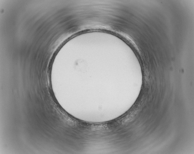 X0000069810887200606161846