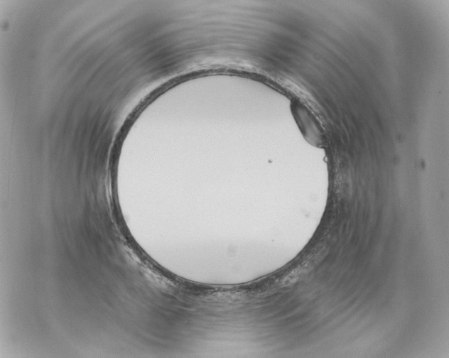 X0000069810888200606161846