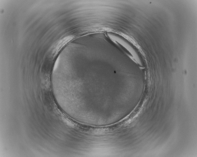 X0000069810889200606161846