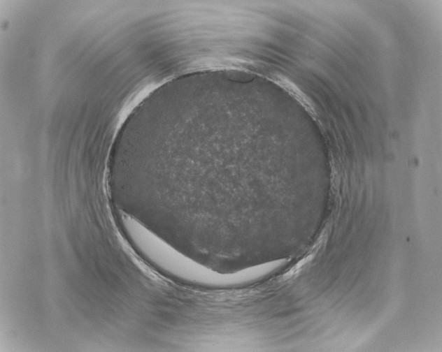 X0000069810893200606161846