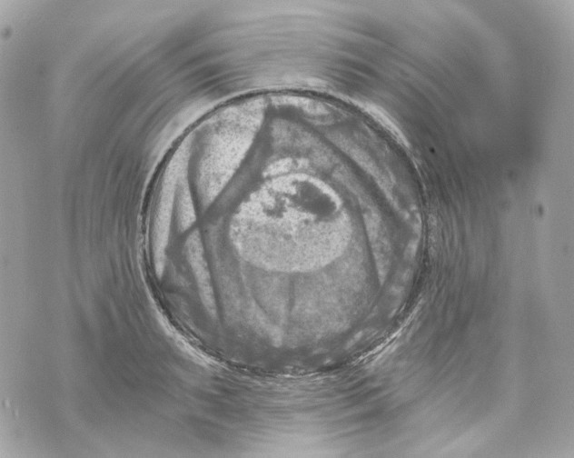 X0000069810895200606161846