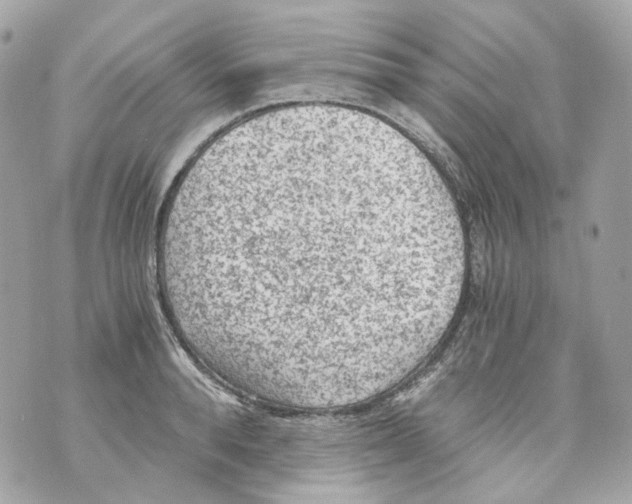 X0000069810896200606161846