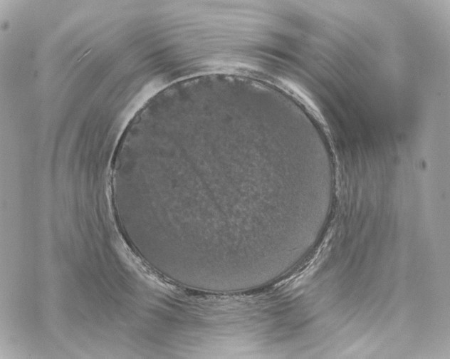 X0000069810899200606161846