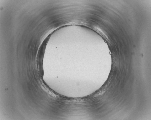 X0000069810900200606161846