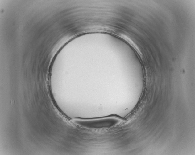 X0000069810901200606161846