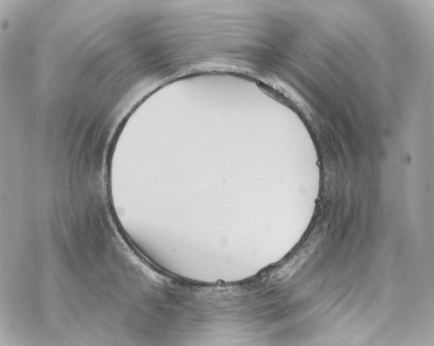 X0000069810902200606161846