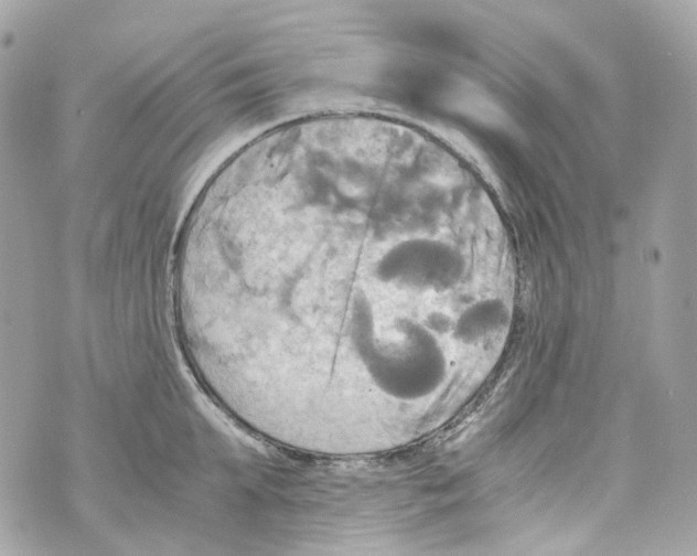 X0000069810903200606161846