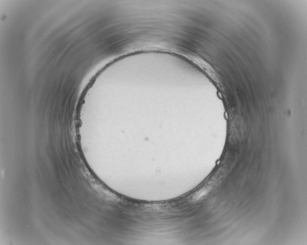 X0000069810904200606161846