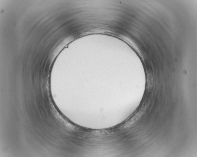 X0000069810906200606161846