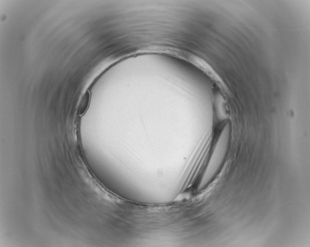 X0000069810908200606161846