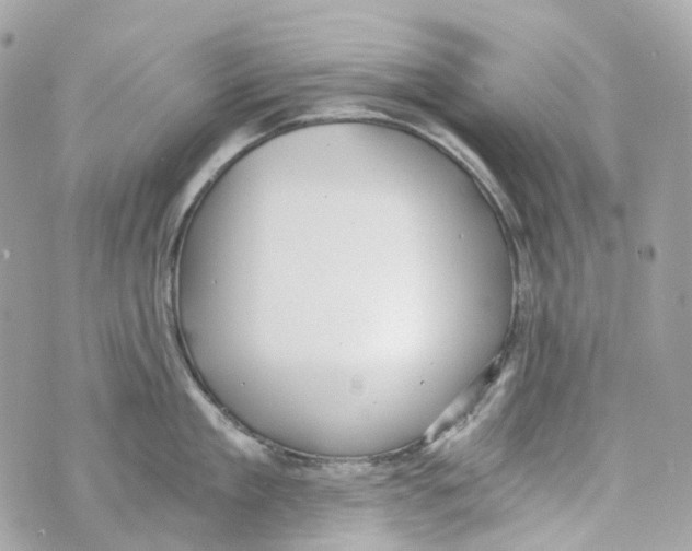 X0000069810909200606161846