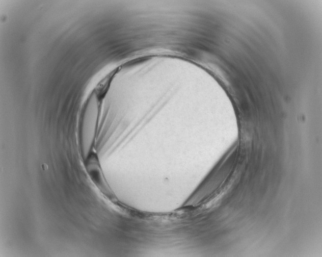 X0000069810910200606161846