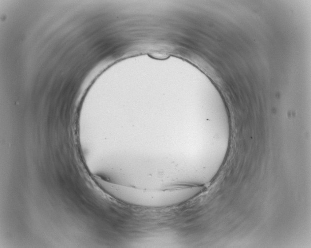 X0000069810912200606161846