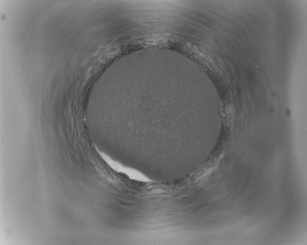 X0000069810913200606161845