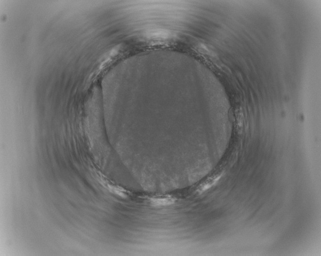 X0000069810916200606161845