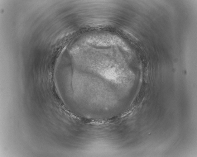 X0000069810917200606161845