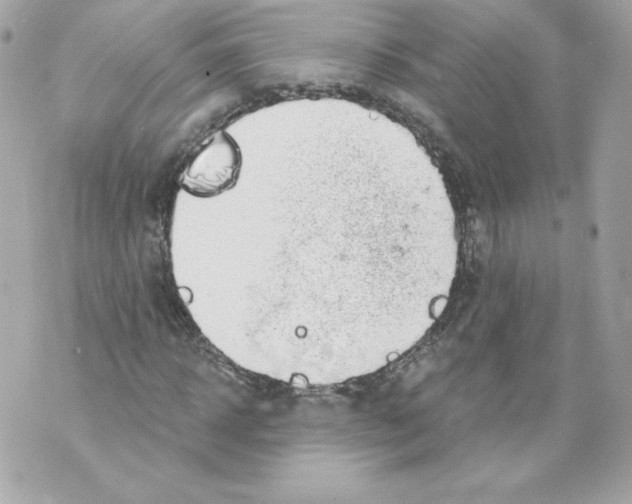 X0000069810918200606161845