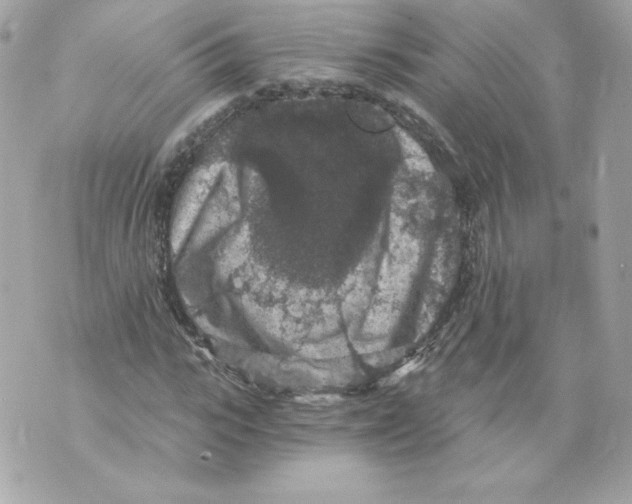 X0000069810919200606161845