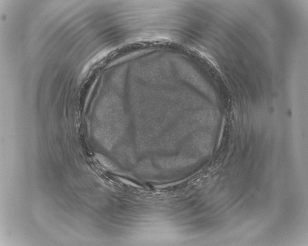 X0000069810920200606161845