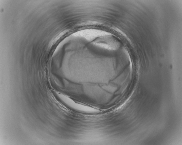 X0000069810921200606161845