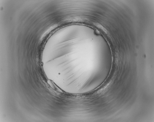 X0000069810922200606161845