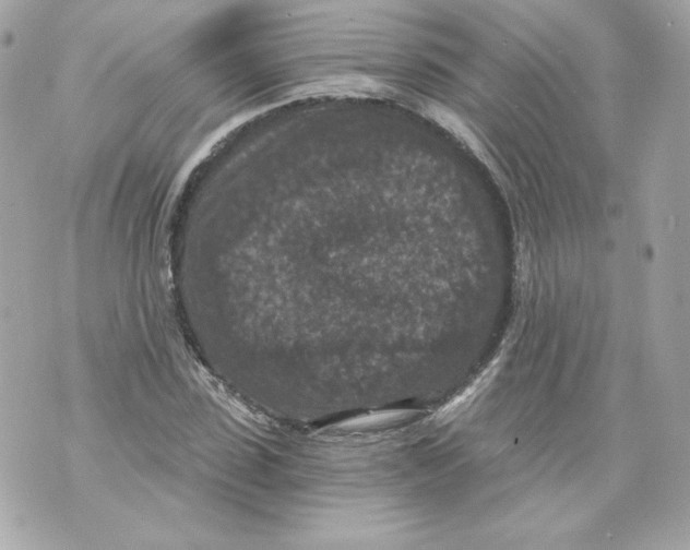 X0000069810923200606161845