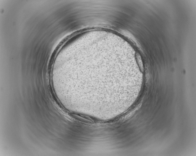 X0000069810924200606161845