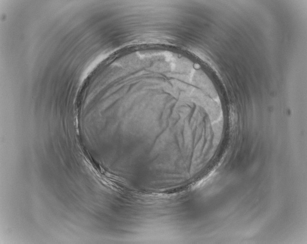 X0000069810925200606161845