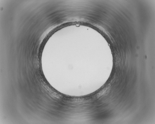 X0000069810927200606161846