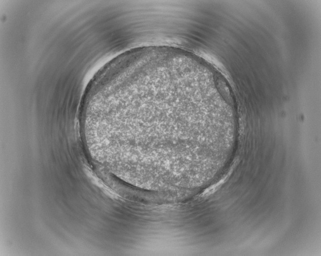 X0000069810928200606161846