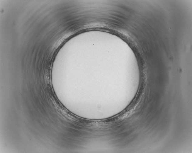 X0000069810929200606161846