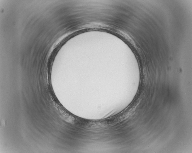 X0000069810931200606161846