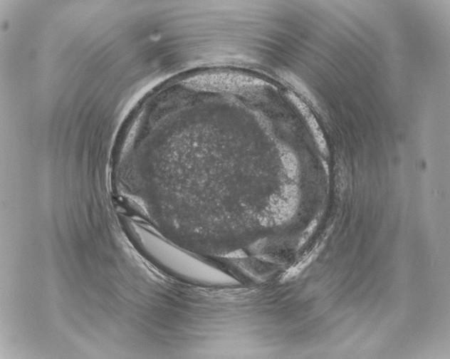 X0000069810932200606161846