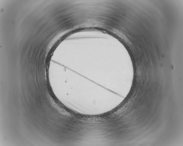 X0000069810934200606161846