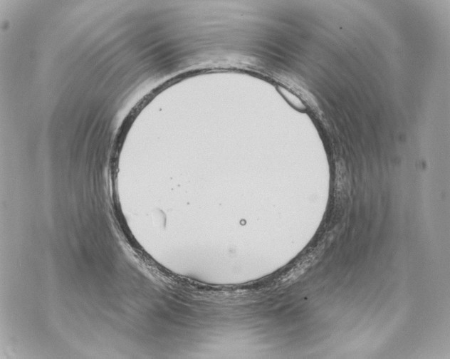 X0000069810936200606161846