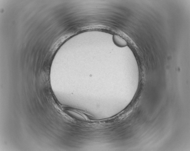 X0000069810937200606161846