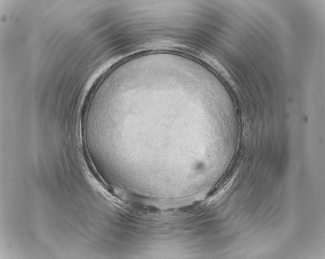 X0000069810939200606161846